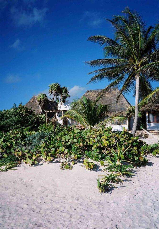 Casa Violeta Hotel Tulum Bagian luar foto
