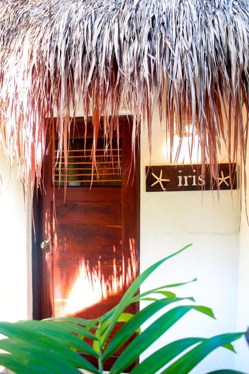 Casa Violeta Hotel Tulum Bagian luar foto
